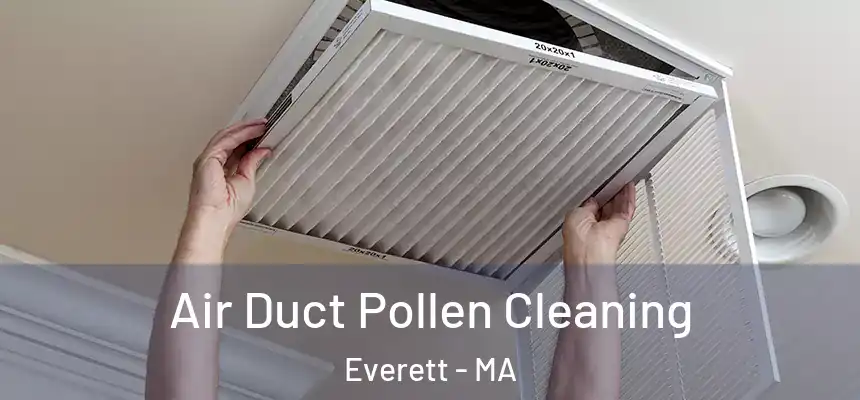  Air Duct Pollen Cleaning Everett - MA