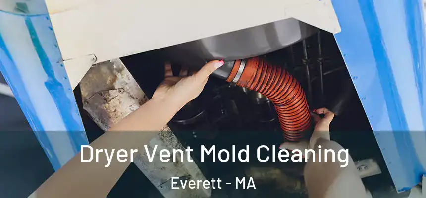  Dryer Vent Mold Cleaning Everett - MA