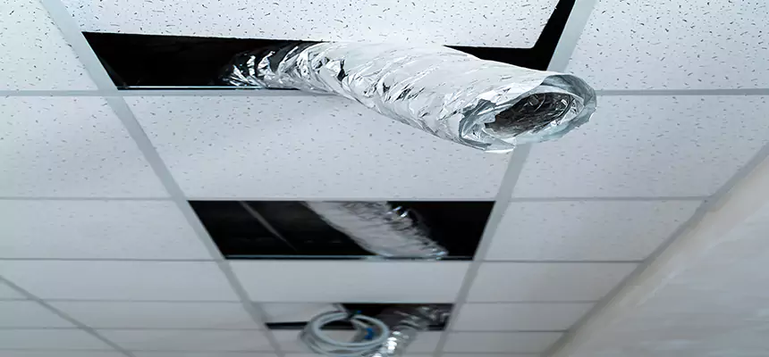 Our Air Duct Pet Hair Removal Services in Everett, MA