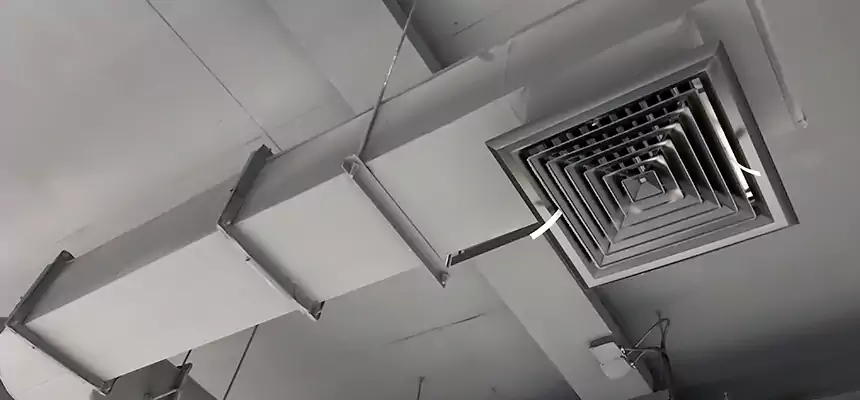 Our Pest Removal From Ducts Services in Everett, MA