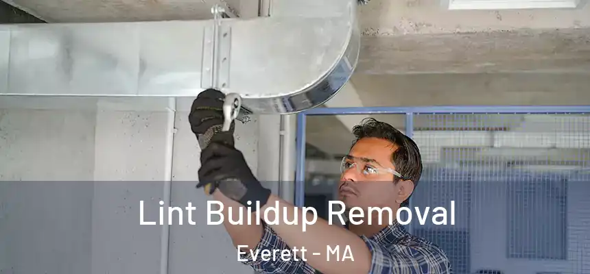 Lint Buildup Removal Everett - MA