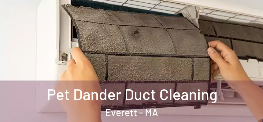 Pet Dander Duct Cleaning Everett - MA