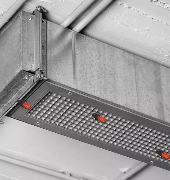About Air Duct Cockroach Removal in Everett, MA