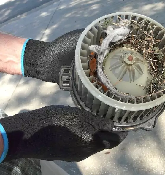 About Air Duct Rat Removal in Everett, MA