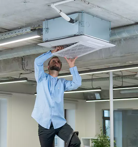 Advanced Rodent Droppings In Vents in Everett, MA