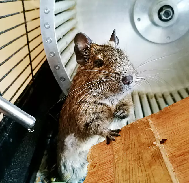 Why Homeowners & Businesses Trust Us Everett, MA?