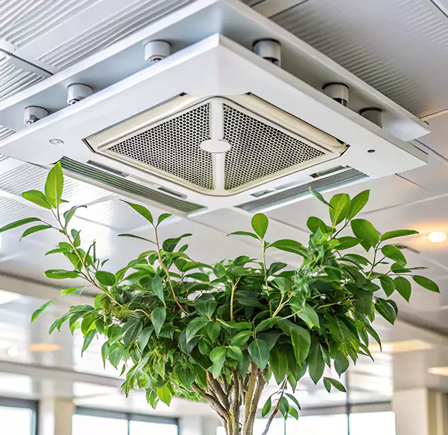 Why Homeowners & Businesses Trust Us in Everett, MA?